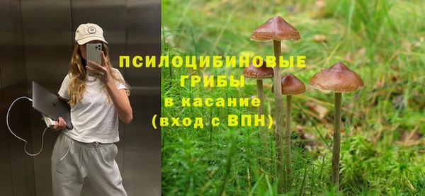 стафф Костерёво