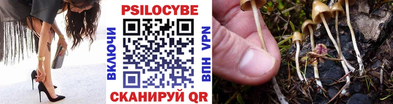 Галлюциногенные грибы GOLDEN TEACHER  Далматово 